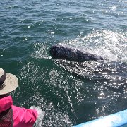 IMG 0001 2 (326)